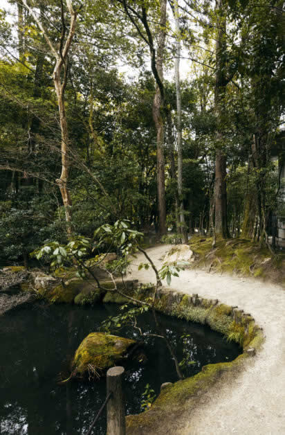 beautiful-japanese-garden-op